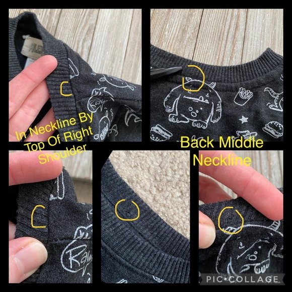 Alex & Jack Toddler Boys Dinosaur Monster Sweatshirt Size 3T Graphic Print Fun - Picture 10 of 12